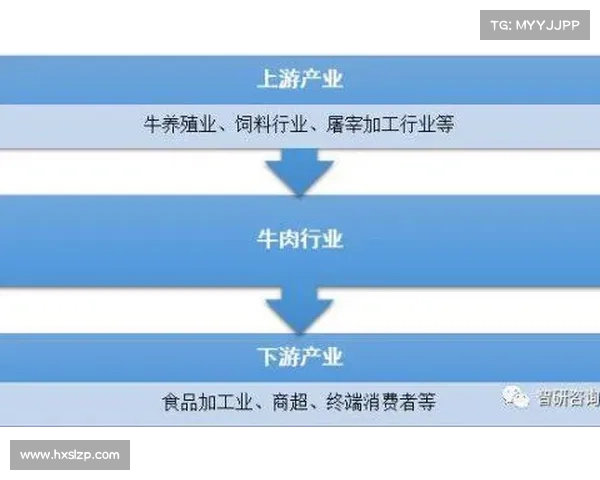 中国板球运动职业化进程加速推进的现状与未来展望 中国板球运动职业化进程加速推进的现状与未来展望
